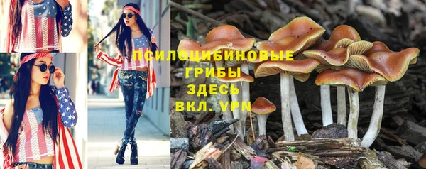 круглые Балахна